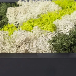 Moosbild Hexagon Mit Schwarzem Rahmen, 38 Cm Ø -Deutschland Garten Schatten Verkaufs-Shop 1530150083 Moosbild Hexagon 38cm 2 115773