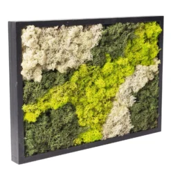 Eckiges Moosbild Mit Schwarzem Rahmen, Groß, 38 X 27 Cm -Deutschland Garten Schatten Verkaufs-Shop 1530150086 Moosbild eckig 38 cm 1 115781