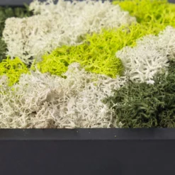 Eckiges Moosbild Mit Schwarzem Rahmen, Groß, 38 X 27 Cm -Deutschland Garten Schatten Verkaufs-Shop 1530150086 Moosbild eckig 38 cm 2 115782