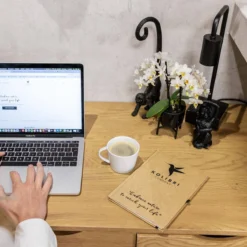 Geschenkset Orchidee & Sukkulente, Schwarz, Inkl. Übertöpfen Und Dekotablett -Deutschland Garten Schatten Verkaufs-Shop 1530150104 Kolibri Set schwarz klein 1 116982