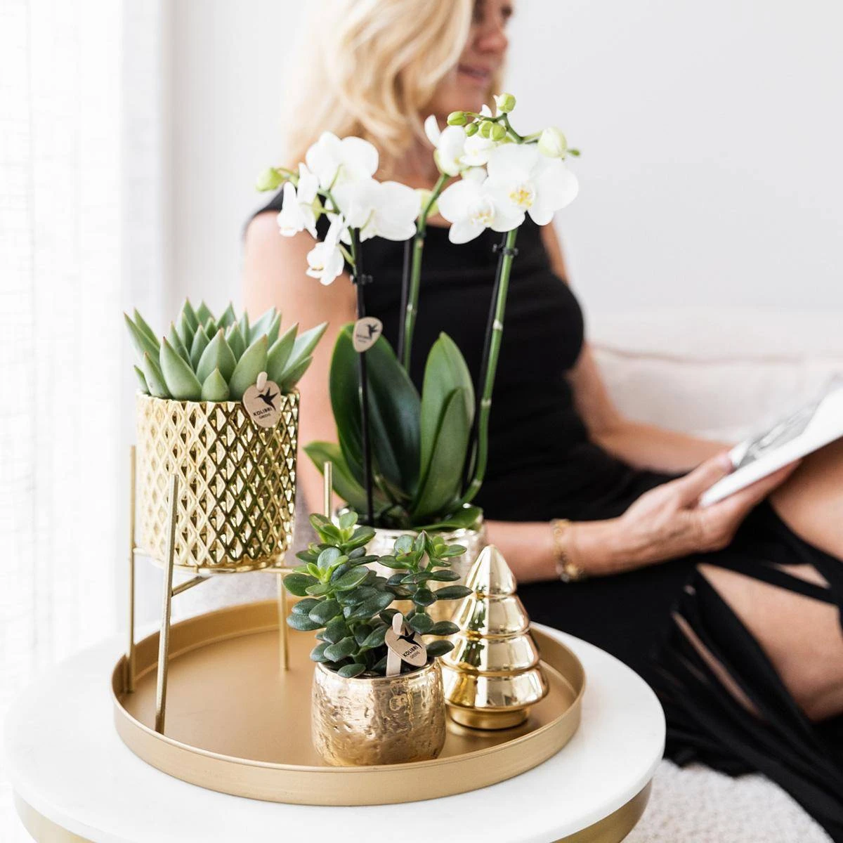 Geschenkset Orchidee & Sukkulente, Gold, Inkl. Übertöpfen, Figur Und Tablett 3 Geschenkset Orchidee & Sukkulente, Gold, Inkl. Übertöpfen, Figur Und Tablett – Bild 3