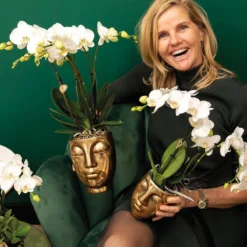 Geschenkset Orchidee & Sukkulente, Gold, Inkl. Übertöpfen Und Dekotablett 11 Geschenkset Orchidee & Sukkulente, Gold, Inkl. Übertöpfen Und Dekotablett -Deutschland Garten Schatten Verkaufs-Shop 1530150107 Kolibri Set Kopf gold klein 2 116993