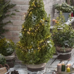 Kölle LED Lichterkette, Gruppenbeleuchtung Mit 288 Lichtern, Schwarz, 2,4 M, Warmweiß -Deutschland Garten Schatten Verkaufs-Shop 2040303593 3909 3911 4346 4347 4348 4350 4351 4351 4352 4354 4355 4356 4358 4359 LED Gruppenbeleuchtung warm 58204