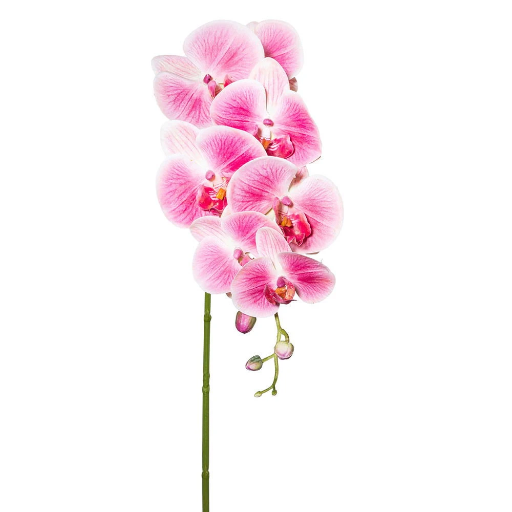 Kunstpflanze Orchideenzweig, Dunkelrosa, Ca. 87 Cm, 2 Stück 2 Kunstpflanze Orchideenzweig, Dunkelrosa, Ca. 87 Cm, 2 Stück – Bild 2