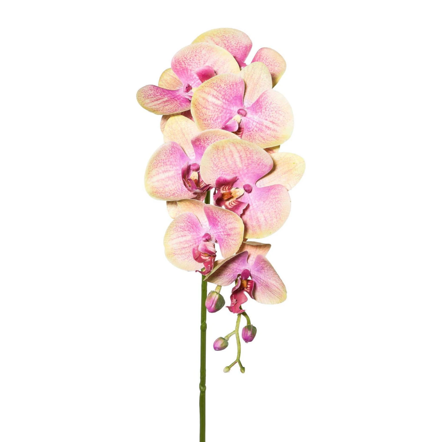 Kunstpflanze Orchideenzweig, Grünrosa, Ca. 87 Cm, 2 Stück 2 Kunstpflanze Orchideenzweig, Grünrosa, Ca. 87 Cm, 2 Stück – Bild 2