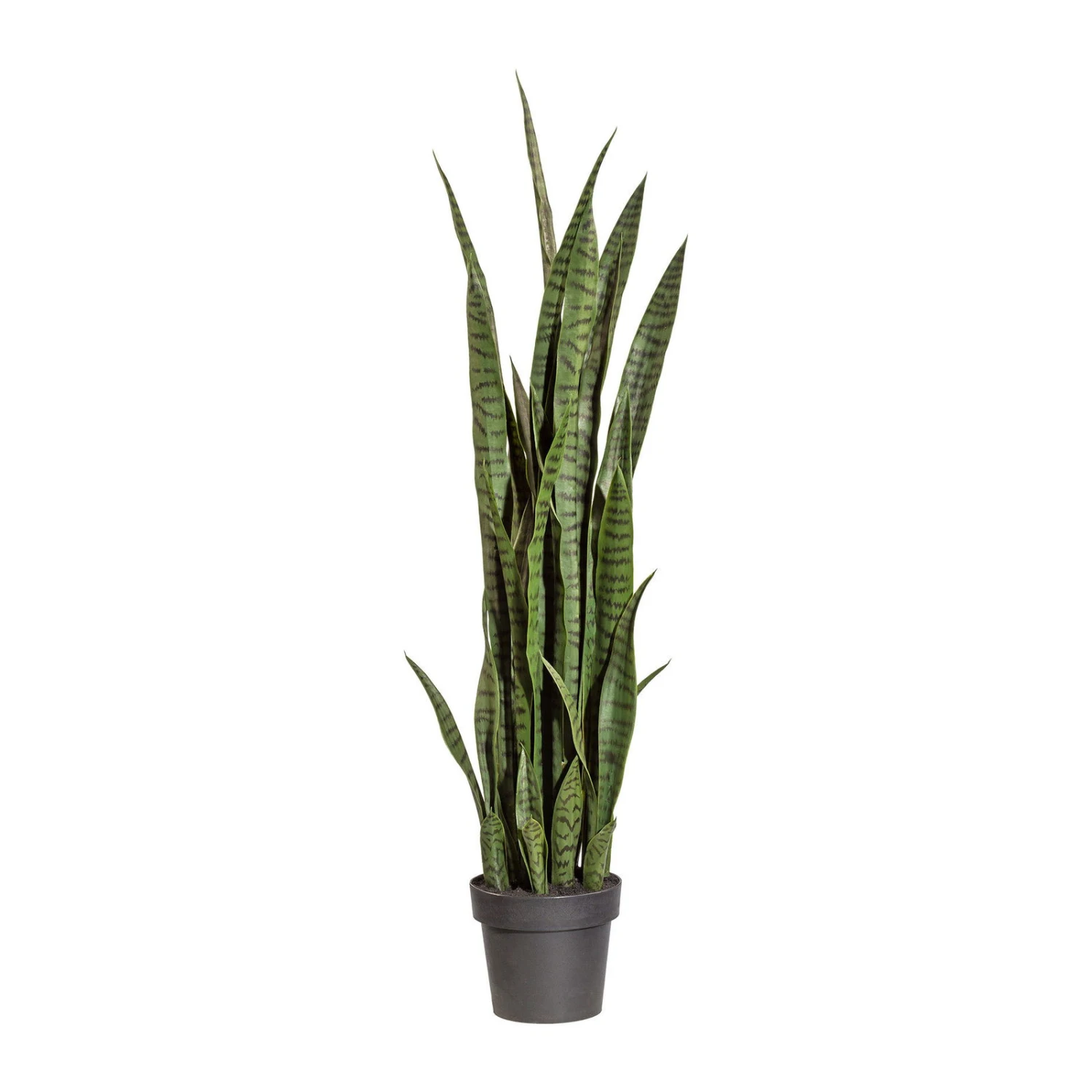 Kunstpflanze Sansevieria Grün, Im Kunststofftopf, Ca. 100 Cm 1 Kunstpflanze Sansevieria Grün, Im Kunststofftopf, Ca. 100 Cm