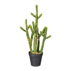 Kunstpflanze Kaktus Euphorbia, Ca. 45 Cm