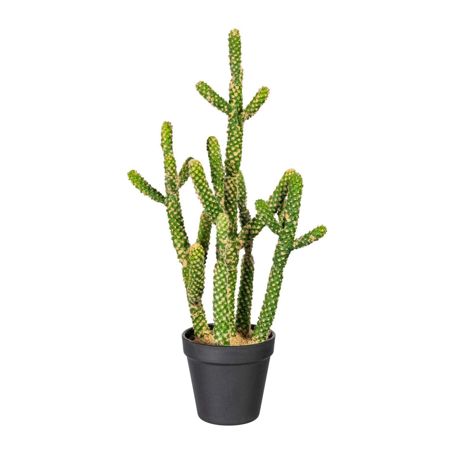 Kunstpflanze Kaktus Euphorbia, Ca. 45 Cm 1 Kunstpflanze Kaktus Euphorbia, Ca. 45 Cm