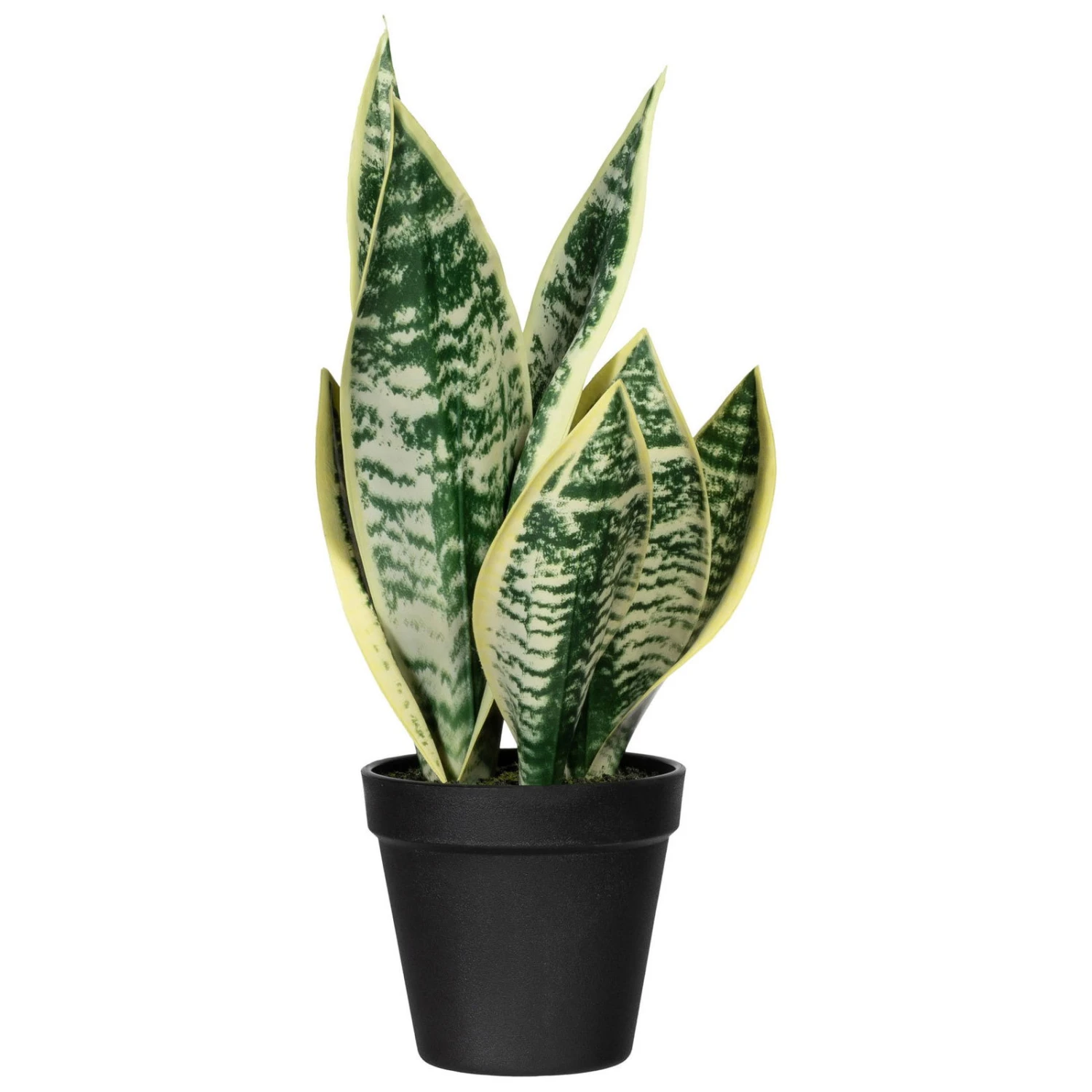 Künstliche Sansevieria, Ca. 8 Blätter, Grünweiß, Ca. 33 Cm 1 Künstliche Sansevieria, Ca. 8 Blätter, Grünweiß, Ca. 33 Cm