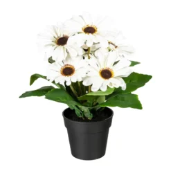 Kunstpflanze Gerberabusch, 2er-Set, Creme, Höhe Ca. 27 Cm