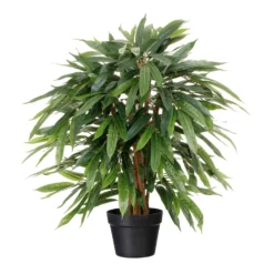 Kunstpflanze Weeping-Ficus, Höhe Ca. 80 Cm