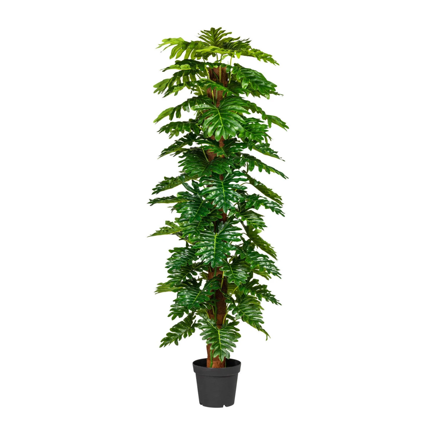 Kunstpflanze Monstera, Höhe Ca. 190 Cm 1 Kunstpflanze Monstera, Höhe Ca. 190 Cm