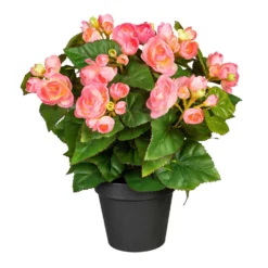 Kunstpflanze Begonienbusch, Rosa, Ca. 35 Cm, Im Topf
