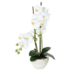 Kunstpflanze Orchidee Phalaenopsis In Keramikschale, Weiß, Ca. 50 Cm