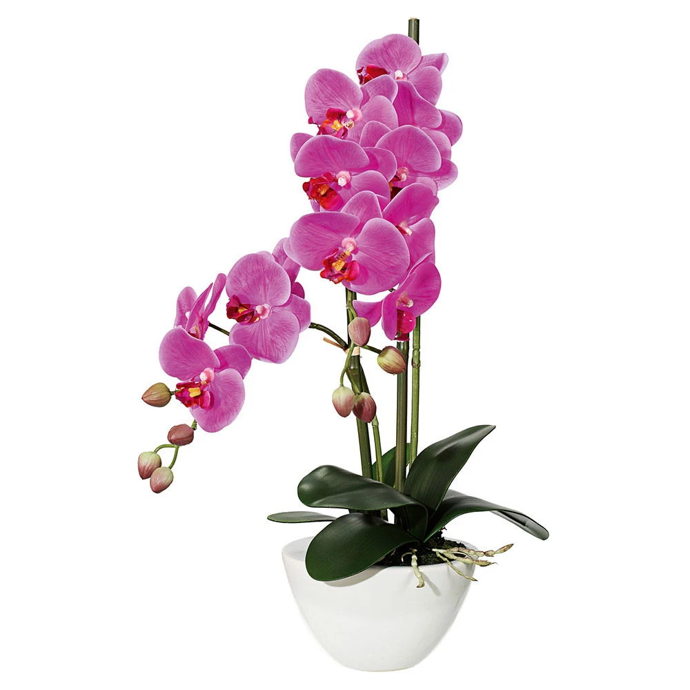 Kunstblume Orchidee Phalaenopsis In Weißer Keramikschale, Lila, Ca. 50 Cm 1 Kunstblume Orchidee Phalaenopsis In Weißer Keramikschale, Lila, Ca. 50 Cm