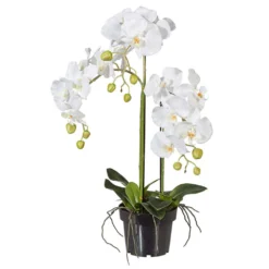 Kunstpflanze Orchidee Phalaenopsis Weiß, Im Kunststofftopf, Ca. 62 Cm