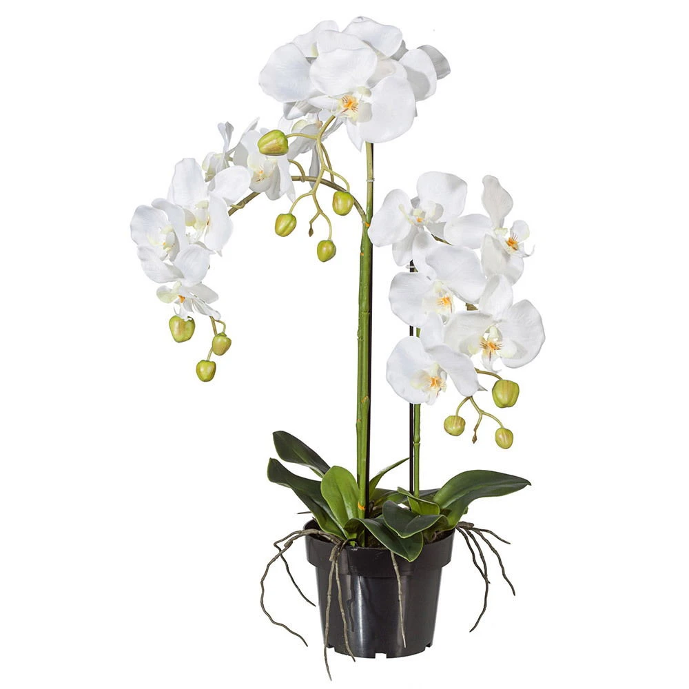 Kunstpflanze Orchidee Phalaenopsis Weiß, Im Kunststofftopf, Ca. 62 Cm 1 Kunstpflanze Orchidee Phalaenopsis Weiß, Im Kunststofftopf, Ca. 62 Cm