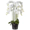 Kunstpflanze Orchidee Phalaenopsis Weiß, Im Kunststofftopf, Ca. 110 Cm