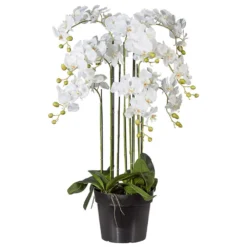 Kunstpflanze Orchidee Phalaenopsis Weiß, Im Kunststofftopf, Ca. 110 Cm
