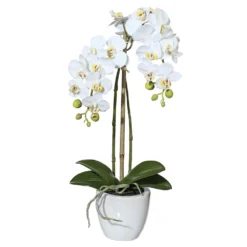Kunstblume Mini-Orchidee Phalaenopsis Weiß, Im Keramiktopf, Ca. 43 Cm