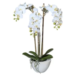 Kunstpflanze Mini-Orchidee Phalaenopsis Weiß, In Keramikschale, Ca. 51 Cm