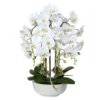Kunstpflanze Phalaenopsis In Keramikschale Weiß, Ca. 66 Cm
