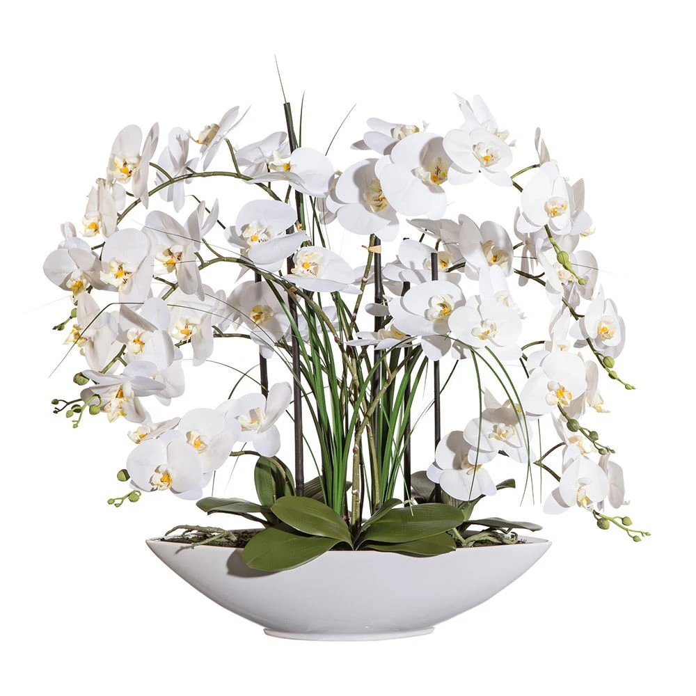 Kunstpflanze Phalaenopsis Orchidee Weiß, Mit Weißer Keramikschale, Ca. 70 Cm 1 Kunstpflanze Phalaenopsis Orchidee Weiß, Mit Weißer Keramikschale, Ca. 70 Cm
