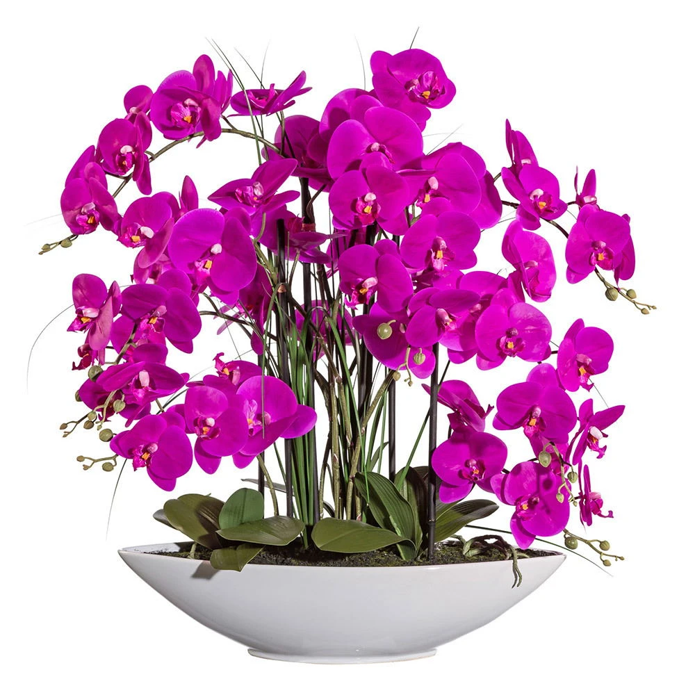 Kunstpflanze Orchidee Phalaenopsis Lila In Weißer Keramikschale, Ca. 70 Cm 1 Kunstpflanze Orchidee Phalaenopsis Lila In Weißer Keramikschale, Ca. 70 Cm