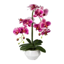 Orchidee Phalaenopsis, Künstlich, Fuchsia, Ca. 52 Cm, Keramiktopf 15 X 9,5 Cm