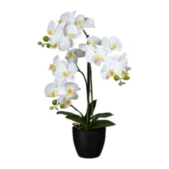 Künstliche Orchidee, Phalaenopsis, 3 Rispen, Weiße Blüten, Ca. 65 Cm, 14 X 12 Cm Kunststofftopf