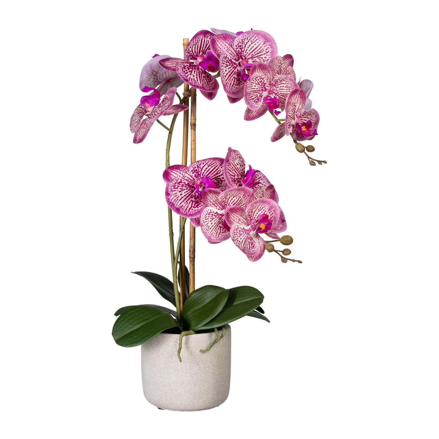 Künstliche Orchidee, Phalaenopsis, 2 Rispen, Pinkcreme, Ca. 60 Cm, 13 X 11 Cm Zementtopf In Grau 1 Künstliche Orchidee, Phalaenopsis, 2 Rispen, Pinkcreme, Ca. 60 Cm, 13 X 11 Cm Zementtopf In Grau