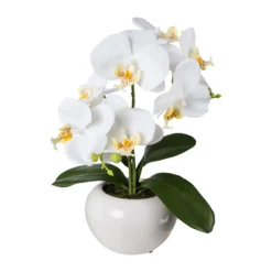 Kunstpflanze Phalaenopsis 'Real Touch', Weiß, Topf-Ø 11,5 Cm, Höhe Ca. 35 Cm