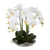 Kunstpflanze Phalaenopsis 'Real Touch', Weiß, Topf-Ø 26 Cm, Höhe Ca. 41cm
