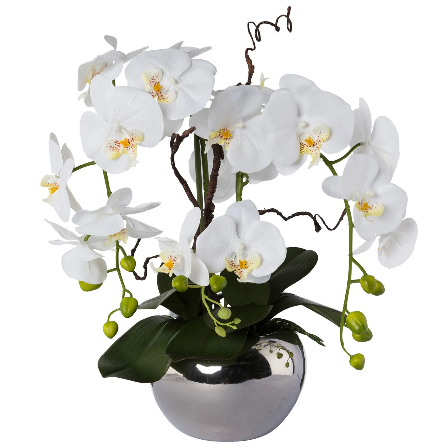 Phalaenopsis 'Real Touch', Weiß, Kunststoff 1 Phalaenopsis 'Real Touch', Weiß, Kunststoff