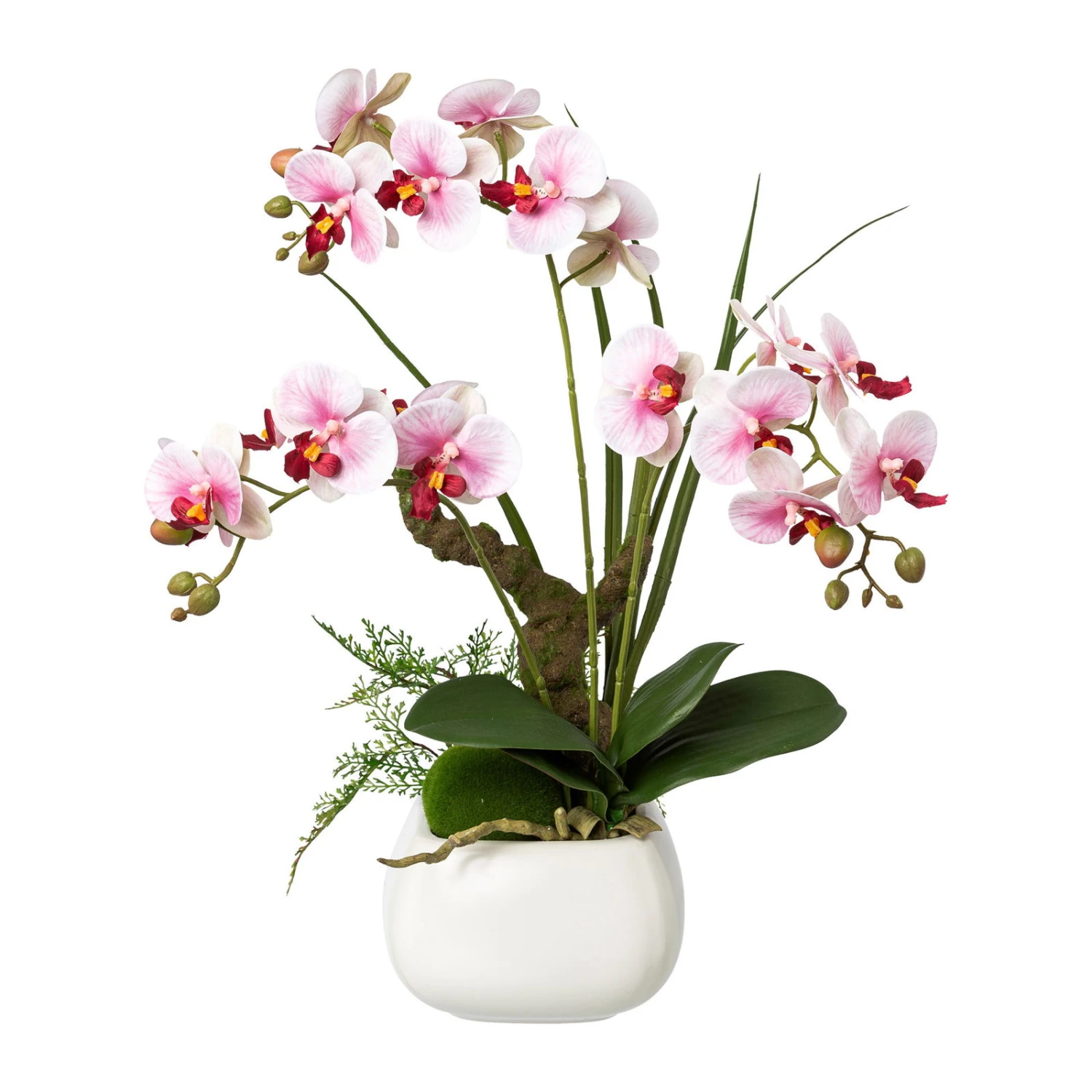 Kunstpflanze Phalaenopsis 'Real Touch', Lila, Topf-Ø 15 Cm, Höhe Ca. 46 Cm 1 Kunstpflanze Phalaenopsis 'Real Touch', Lila, Topf-Ø 15 Cm, Höhe Ca. 46 Cm