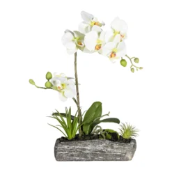 Kunstpflanze Phalaenopsis-Arrangement, Hellgrün, Höhe Ca. 40 Cm