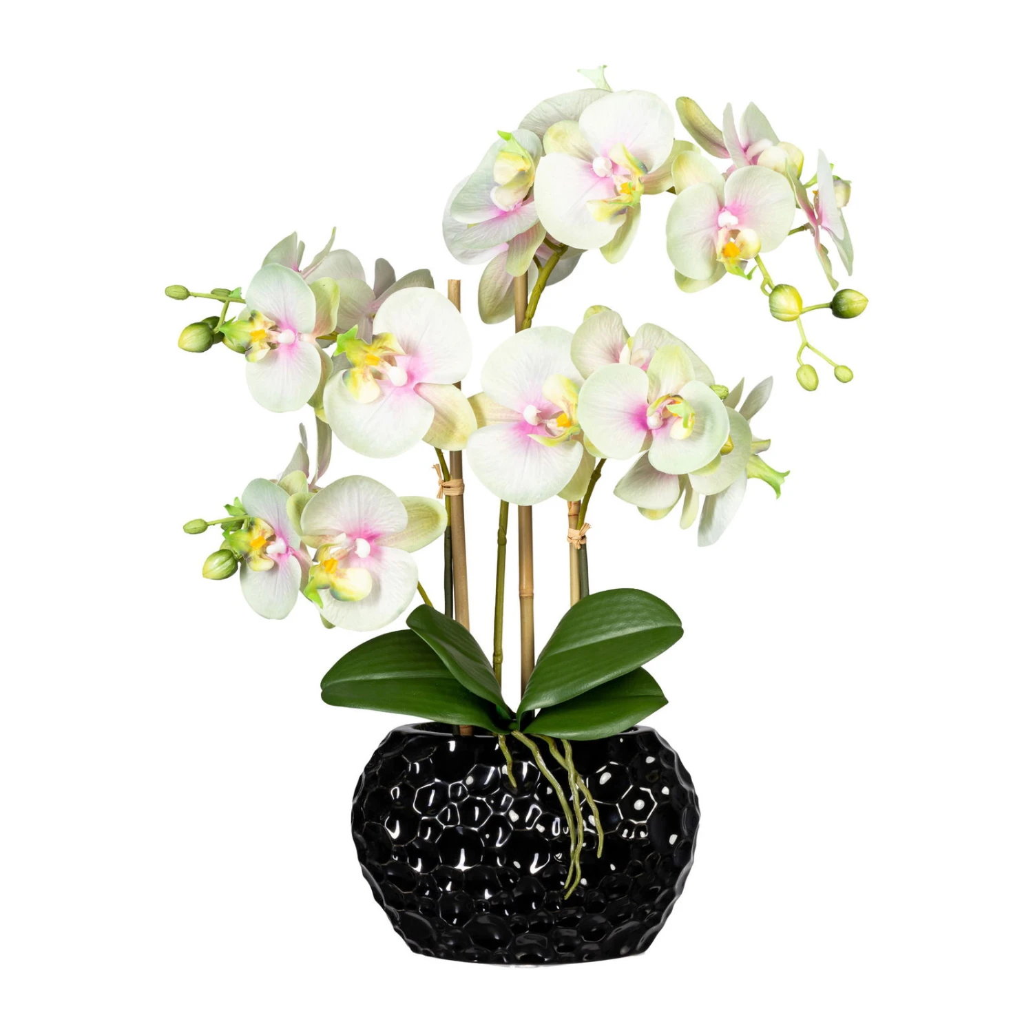 Kunstpflanze Phalaenopsis, 4 Triebe, Grüncreme, Höhe Ca. 55 Cm 1 Kunstpflanze Phalaenopsis, 4 Triebe, Grüncreme, Höhe Ca. 55 Cm