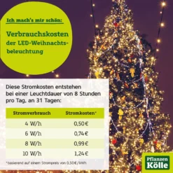 Klarglas-Gefäß Mit 25 LEDs, H.25 X D.9 Cm, 6h-Timer -Deutschland Garten Schatten Verkaufs-Shop Plakat Weihnachtsbeleuchtung intern 24112022 116972 7